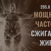 295 8 Гц Бинауральные Ритмы Для Похудения
