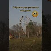 Колесо Обозрения
