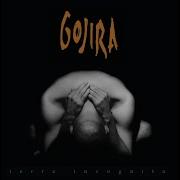 Gojira 04