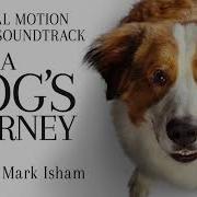 A Dog S Journey A Dog S Purpose Марк Айшем