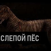 Слепой Пёс Сталкер