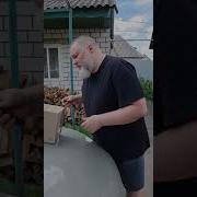 Подписчики Привет