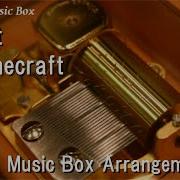 Cat C418 Music Box