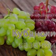 Власкина Колокльный Звон