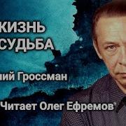 Василий Гроссман Жизнь И Судьба Страницы Романа