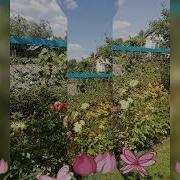 Минус А Помнишь Как Мама Пекла Каравай