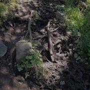 Алексей Козлов Отдых У Воды