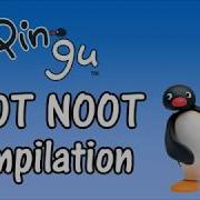 Pingu Noot Noot