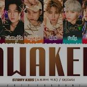 Stray Kids Awaken