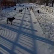 Кому Ты Обосралась