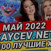 Топ 100 Зайцев Нет Май 2019