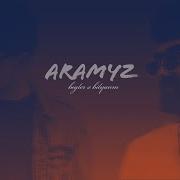 Aramyz Yok