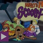 Scooby Doo Maceraları