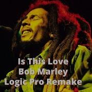 Bob Marley Is This Love Logic