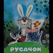 Заходер Русачок