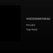 Prxjek Voicesinmyhead