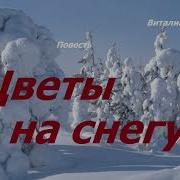 Цветы На Снегу 2