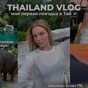 Отдых С Друзьями