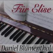 For Elise Sonata No 24 In F Sharp Major Op 78 Daniel Blumenthal