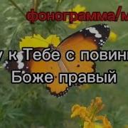 Иду К Тебе С Повинной Боже Правый Минус
