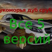 У Лукморья Дуб Спилили