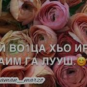 Чеченские Песни С Днём Рождения Сноха