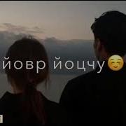 Ас Марзо Лоьхур Яц Хьо Йолчохь