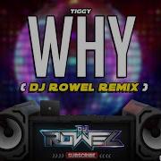 Why Tiggy Dj Rr Remix Eurodance 90 S 2023