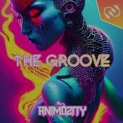 Animosity The Groove