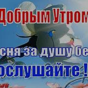 С Добрым Утром В Исполнении Певцов И Певиц Скачать Вива Видел