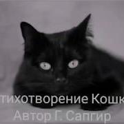 Стихотворение Кошка Автор Г Сапгир