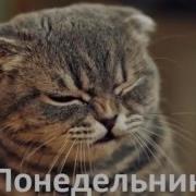 Чтоб Хотелось И Моглось