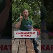 Остановка Сердца Кардиограмма