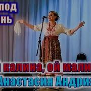 Ой Калина Ой Малина Песня Страдания Под Гармонь Поёт Анастасия Андриянова Russian Songs