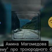 Амина Магомедова Назму Про Троюродного Брата