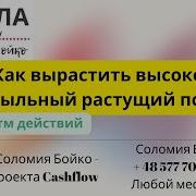 Высокоприбыльный
