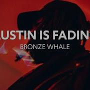 Bronze Whale Austin Is Fading