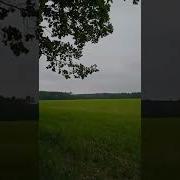 Песня Полисадник