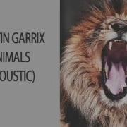 Martin Garrix Animals Acoustic