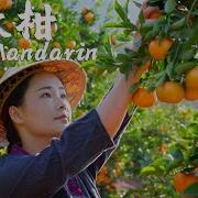Asmr不甜荔枝