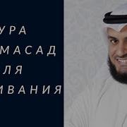 111 Пальмовые Волокна Мишари Рашид