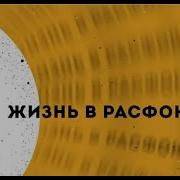 Эмми Бруннер Начни Выбирать Себя