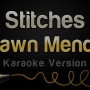 Shawn Mendes Stitches Karaoke