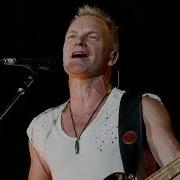 Sting Desert Rose Acapella