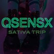 Qsensx