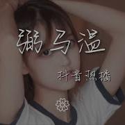 弼馬溫 抖音熱播 Dj弼馬溫版 動態歌詞Lyrics