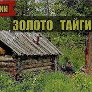 Золото Тайги Часть 1