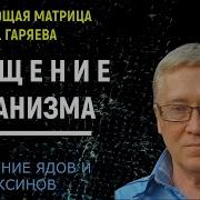 Матрица П Гаряева Очищение Организма Квантовая Детоксикация На Диване