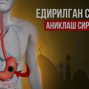 Сехр Жоду Едирлган