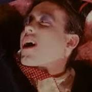 The Cure Close To Me